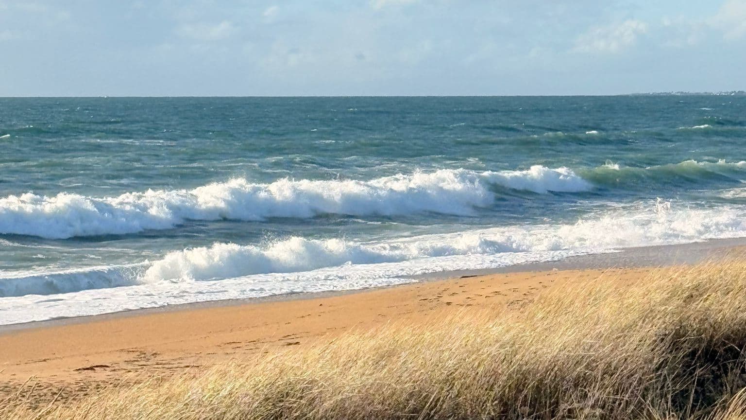Sentier côtier en Bretagne près des dunes — cadre type d'une balade guidée L'Écho des Sentiers